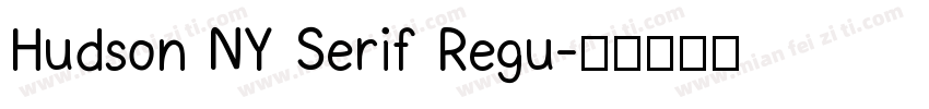 Hudson NY Serif Regu字体转换